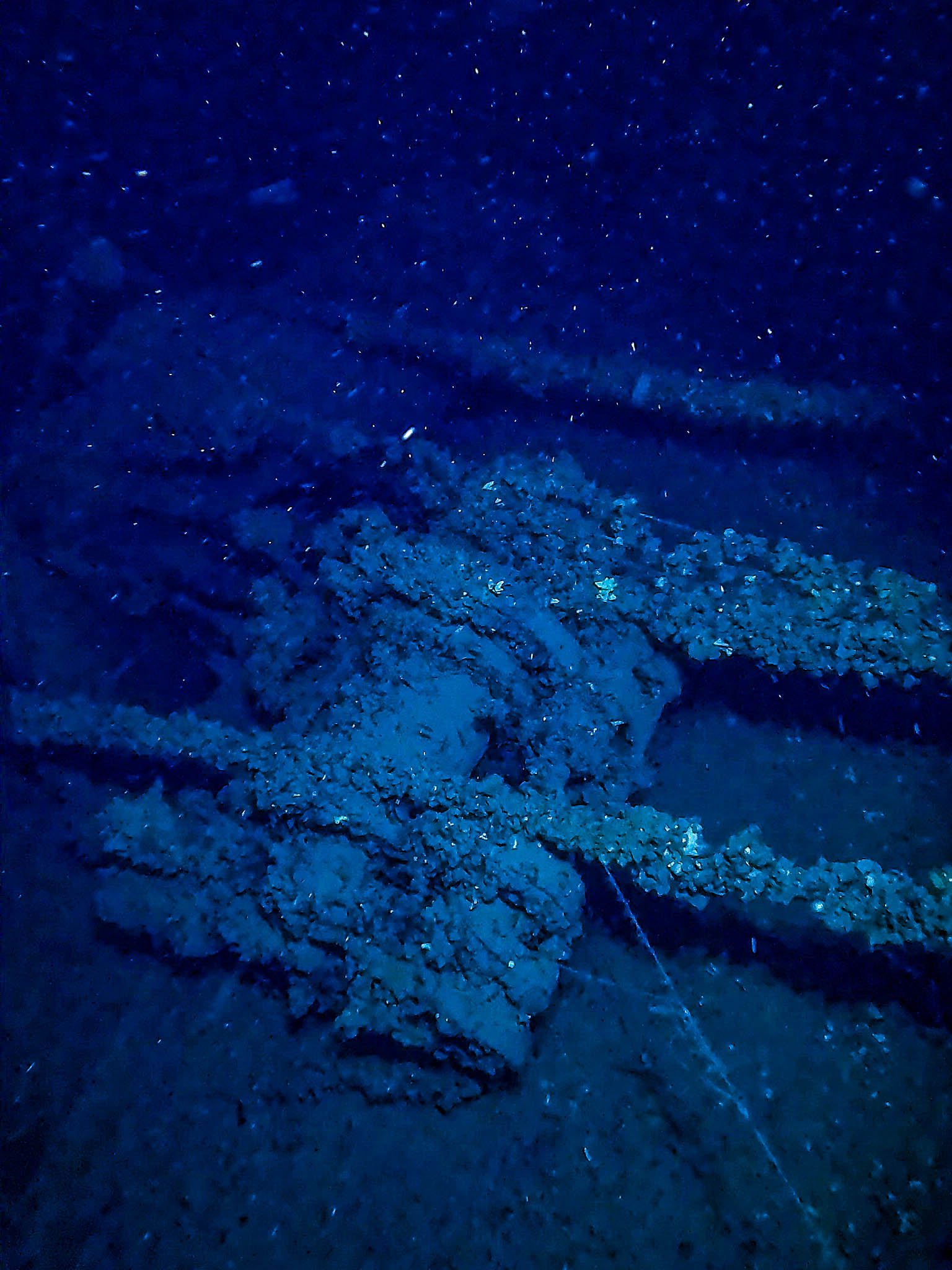Relitto TIRPITZ
